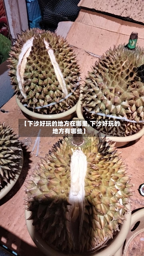 【下沙好玩的地方在哪里,下沙好玩的地方有哪些】-第2张图片