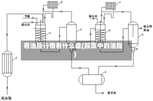 看油脂行情看什么盘(股票中的油脂)