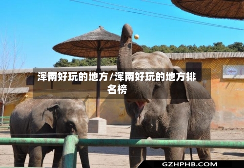 浑南好玩的地方/浑南好玩的地方排名榜-第2张图片