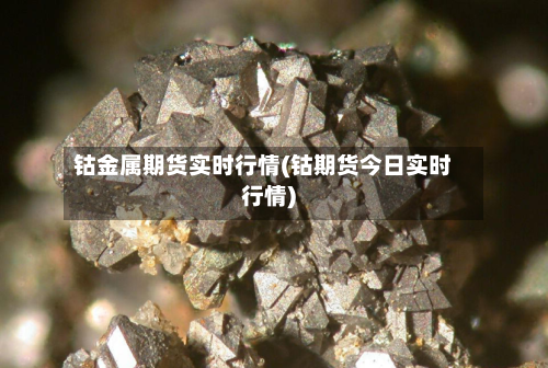 钴金属期货实时行情(钴期货今日实时行情)-第3张图片