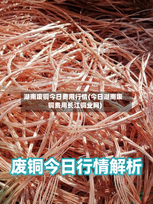 湖南废铜今日费用行情(今日湖南废铜费用长江铜业网)-第3张图片