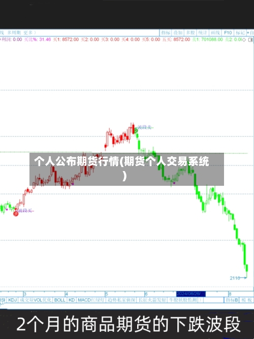 个人公布期货行情(期货个人交易系统)-第2张图片