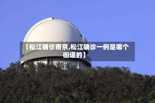 【松江确诊南京,松江确诊一例是哪个街道的】