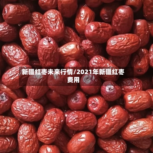 新疆红枣未来行情/2021年新疆红枣费用