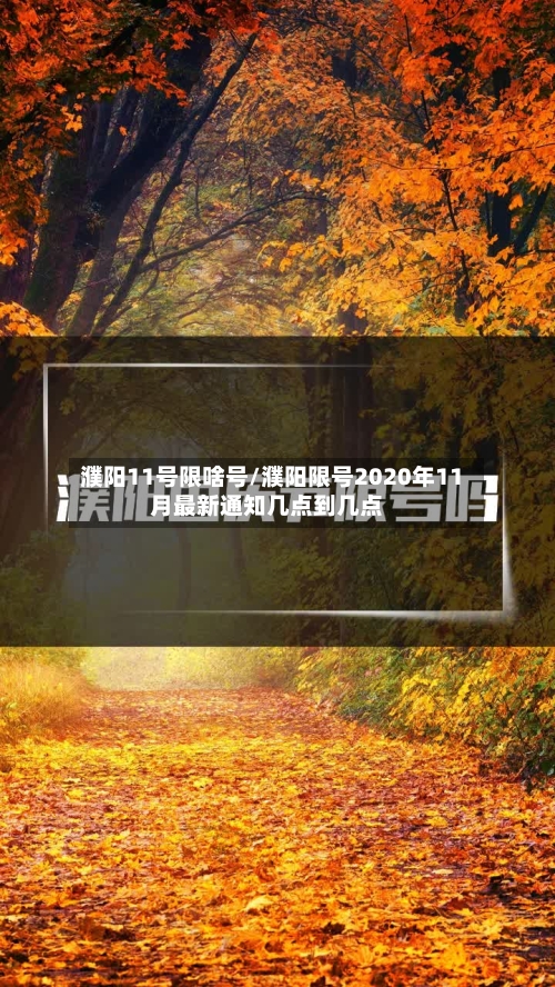 濮阳11号限啥号/濮阳限号2020年11月最新通知几点到几点-第2张图片