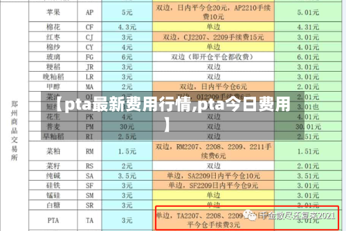 【pta最新费用行情,pta今日费用】-第1张图片