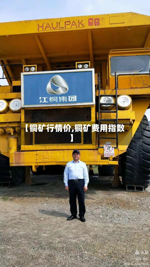 【铜矿行情价,铜矿费用指数】