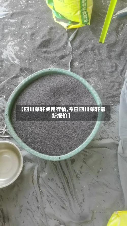 【四川菜籽费用行情,今日四川菜籽最新报价】