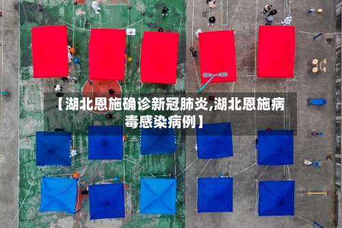 【湖北恩施确诊新冠肺炎,湖北恩施病毒感染病例】