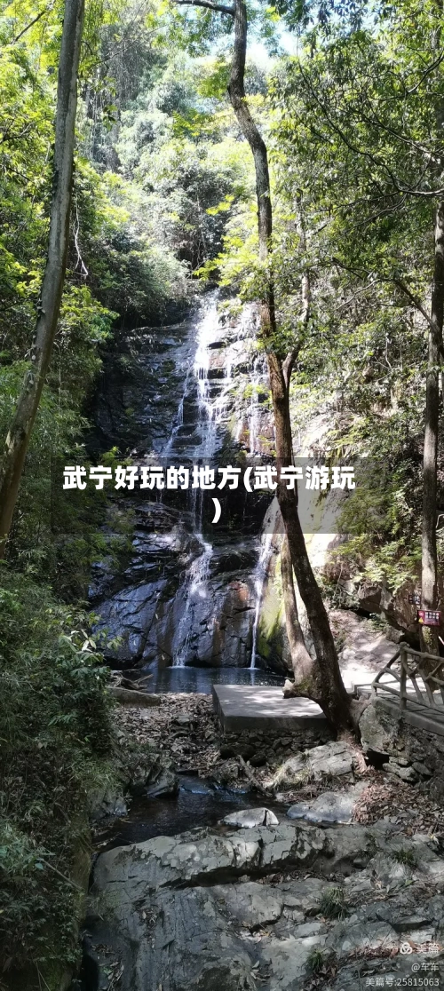 武宁好玩的地方(武宁游玩)-第2张图片
