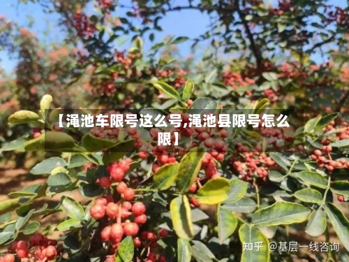 【渑池车限号这么号,渑池县限号怎么限】