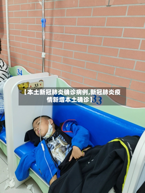【本土新冠肺炎确诊病例,新冠肺炎疫情新增本土确诊】-第1张图片