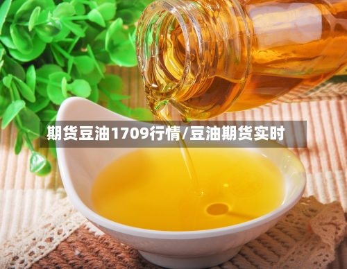 期货豆油1709行情/豆油期货实时-第1张图片