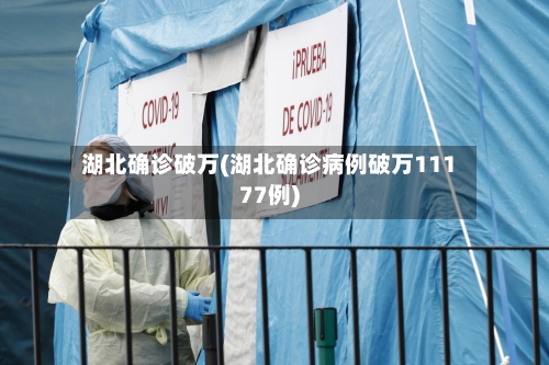 湖北确诊破万(湖北确诊病例破万11177例)-第3张图片