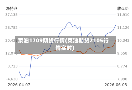 菜油1709期货行情(菜油期货2105行情实时)-第1张图片