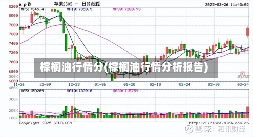 棕榈油行情分(棕榈油行情分析报告)-第1张图片