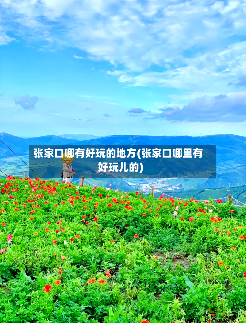 张家口哪有好玩的地方(张家口哪里有好玩儿的)-第1张图片