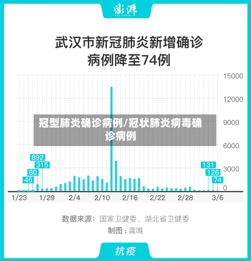 冠型肺炎确诊病例/冠状肺炎病毒确诊病例