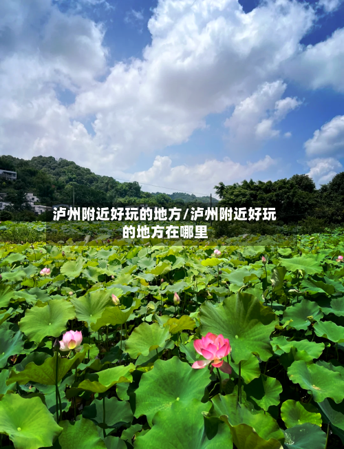 泸州附近好玩的地方/泸州附近好玩的地方在哪里-第2张图片