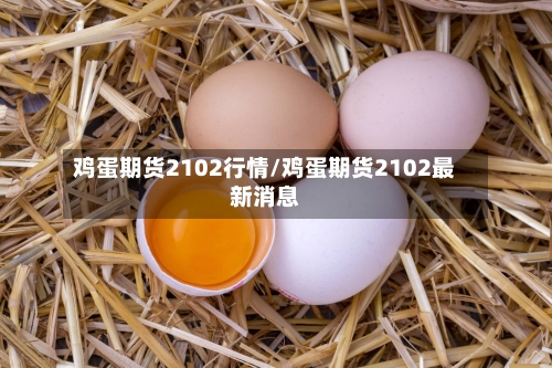 鸡蛋期货2102行情/鸡蛋期货2102最新消息-第3张图片