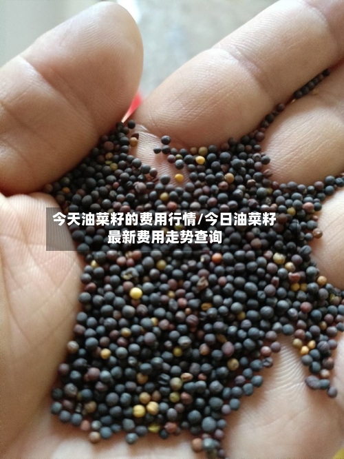 今天油菜籽的费用行情/今日油菜籽最新费用走势查询-第1张图片