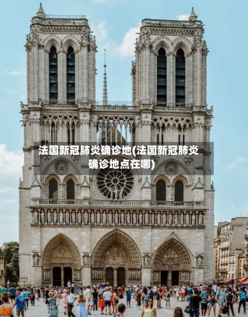 法国新冠肺炎确诊地(法国新冠肺炎确诊地点在哪)