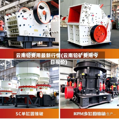 云南铅费用最新行情(云南铅矿费用今日报价)