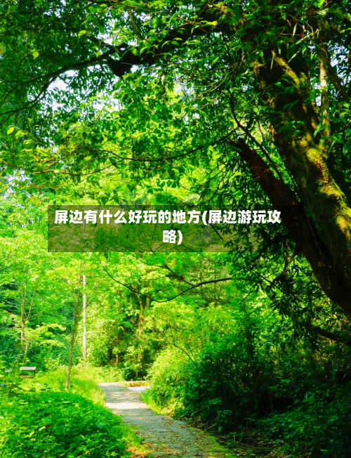 屏边有什么好玩的地方(屏边游玩攻略)