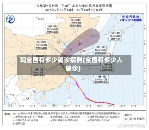 现全国有多少确诊病例(全国有多少人确诊)-第3张图片