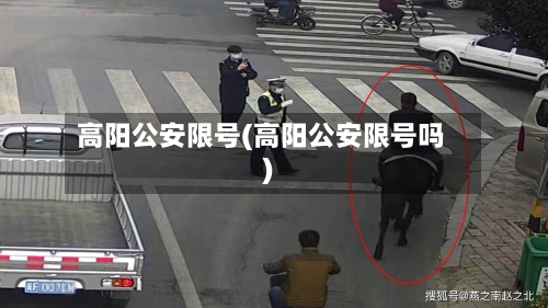 高阳公安限号(高阳公安限号吗)-第2张图片