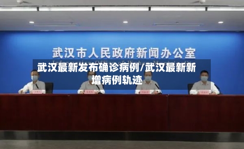 武汉最新发布确诊病例/武汉最新新增病例轨迹