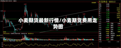 小麦期货最新行情/小麦期货费用走势图-第1张图片