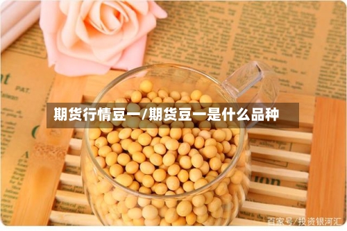 期货行情豆一/期货豆一是什么品种-第1张图片