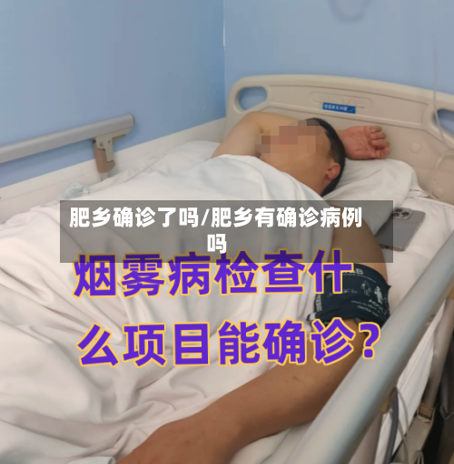 肥乡确诊了吗/肥乡有确诊病例吗
