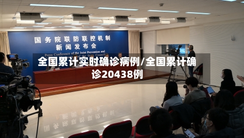 全国累计实时确诊病例/全国累计确诊20438例