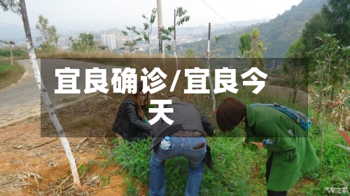 宜良确诊/宜良今天-第2张图片