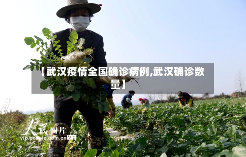 【武汉疫情全国确诊病例,武汉确诊数量】