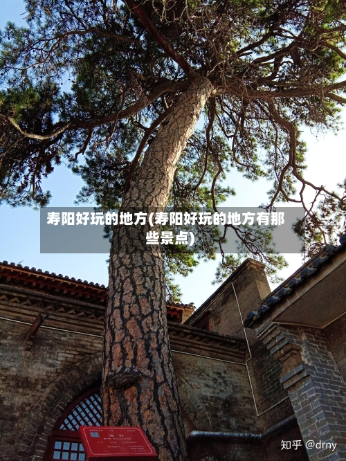 寿阳好玩的地方(寿阳好玩的地方有那些景点)