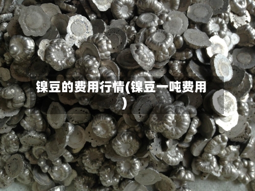 镍豆的费用行情(镍豆一吨费用)