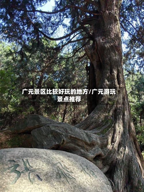 广元景区比较好玩的地方/广元游玩景点推荐