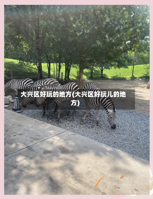 大兴区好玩的地方(大兴区好玩儿的地方)