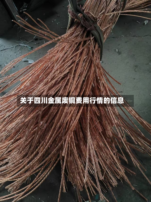 关于四川金属废铜费用行情的信息-第2张图片