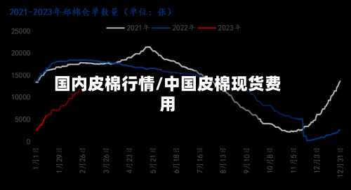 国内皮棉行情/中国皮棉现货费用