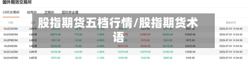 股指期货五档行情/股指期货术语