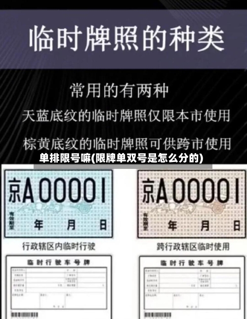 单排限号嘛(限牌单双号是怎么分的)-第3张图片