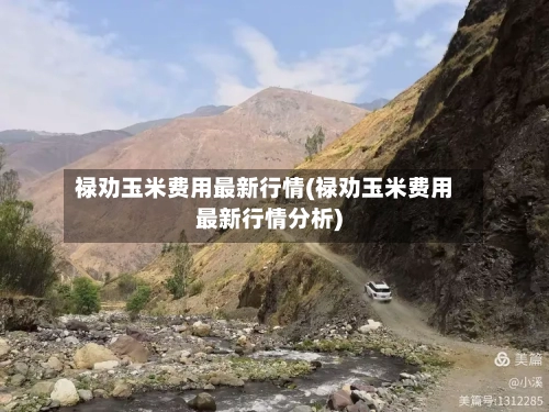 禄劝玉米费用最新行情(禄劝玉米费用最新行情分析)-第3张图片
