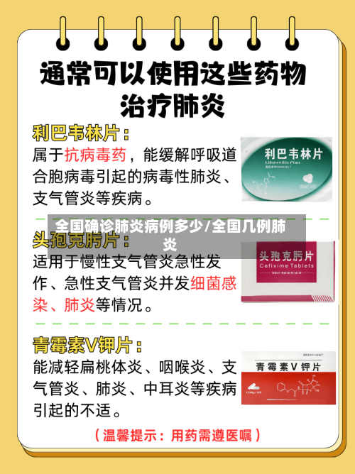 全国确诊肺炎病例多少/全国几例肺炎-第3张图片