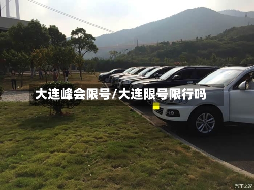大连峰会限号/大连限号限行吗-第2张图片