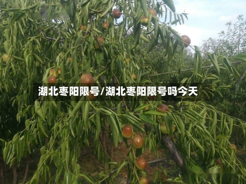 湖北枣阳限号/湖北枣阳限号吗今天-第2张图片