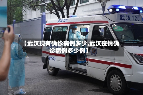 【武汉现有确诊病例多少,武汉疫情确诊病例多少例】-第2张图片